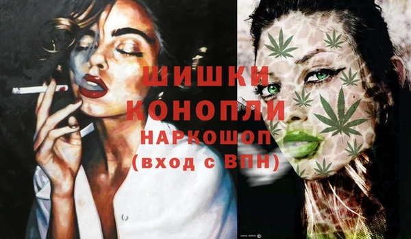 ПСИЛОЦИБИНОВЫЕ ГРИБЫ Вязники